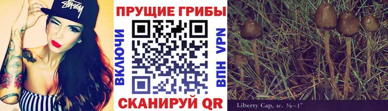 Псилоцибиновые грибы Psilocybine cubensis  дарнет шоп  Енисейск 
